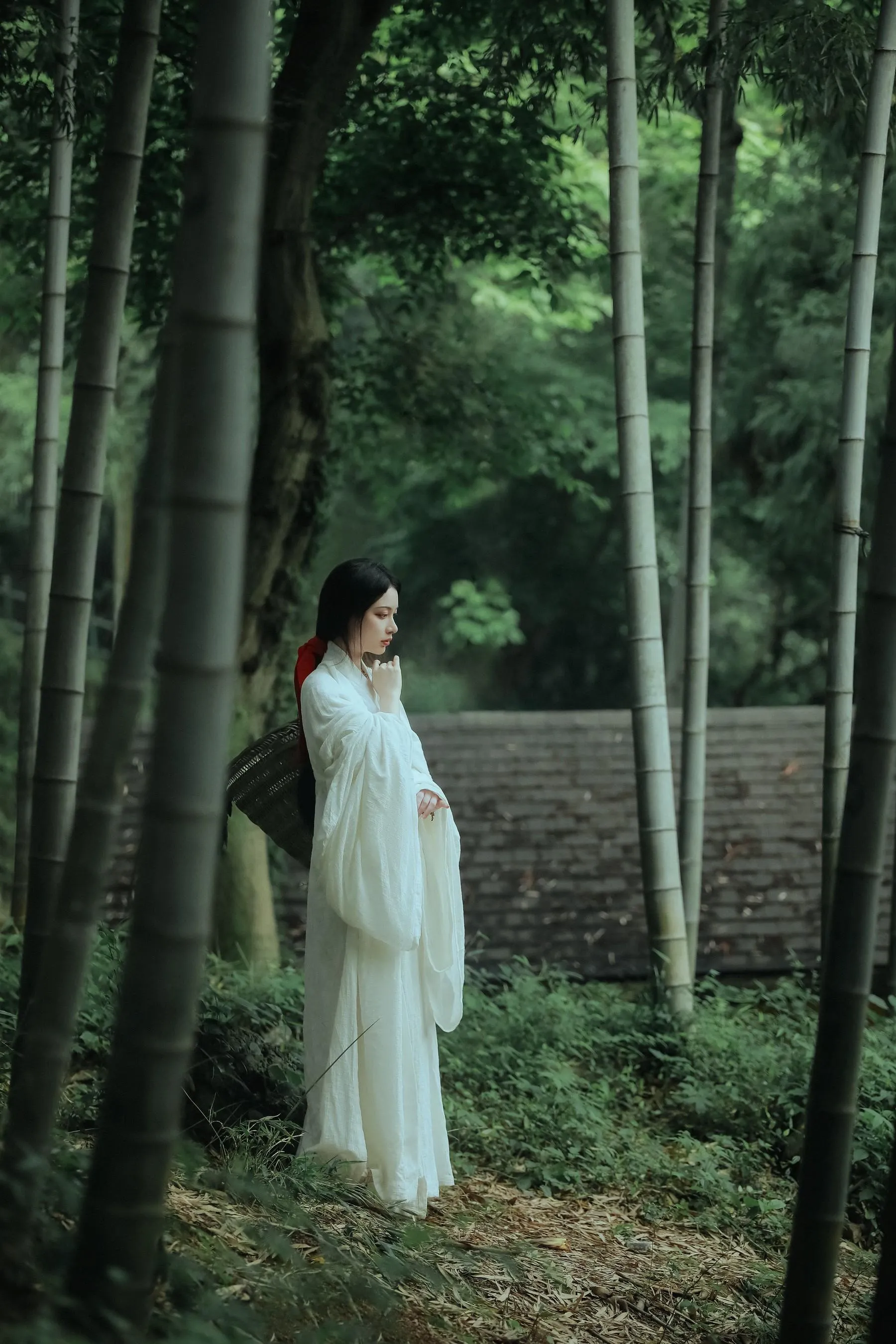 [艺图语] 2022.06.02 神农氏 阿妍纸 [26P]插图